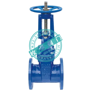 軟密封明桿彈性座封閘閥Z41X,RRHX 上海枚耶閥門 www.famen163.com圖片_高清圖_細節圖-上海枚耶閥門 -